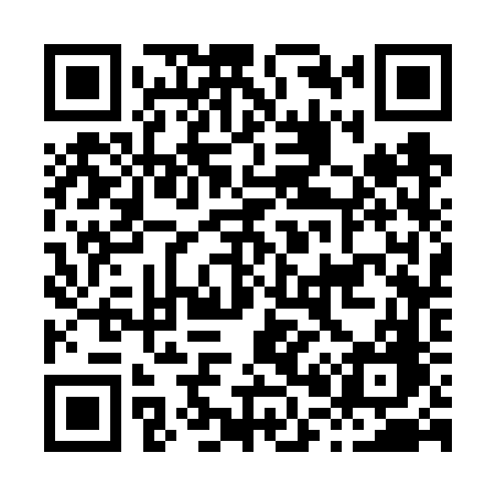 QR code for H036VG