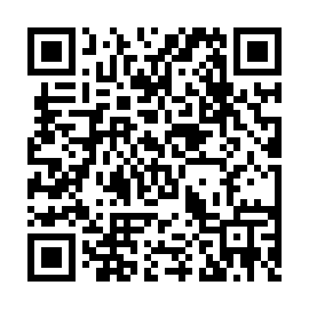 QR code for H0381U