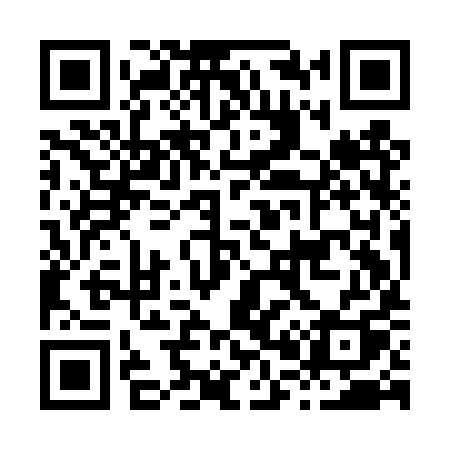 QR code for H09DYQ