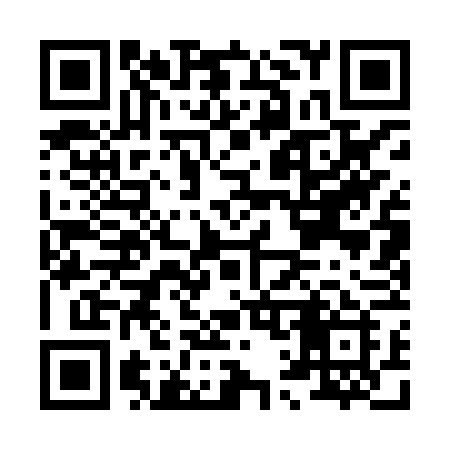 QR code for H118VI