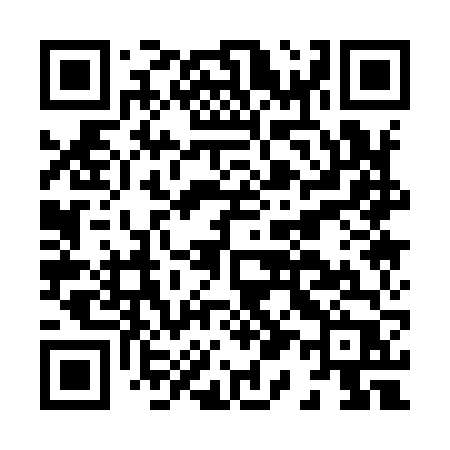 QR code for H1196P