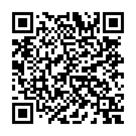 QR code for H11LSQ