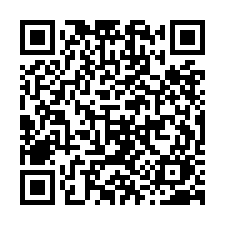 QR code for H11OGO