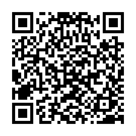 QR code for H133ZS