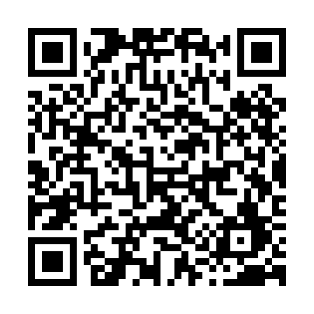 QR code for H13PCF
