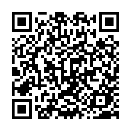 QR code for H161PO