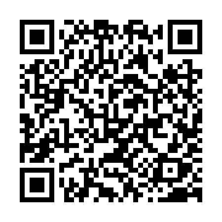 QR code for H163YX