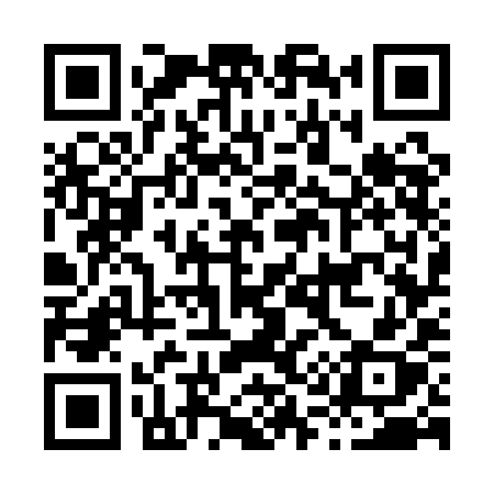 QR code for H171IX