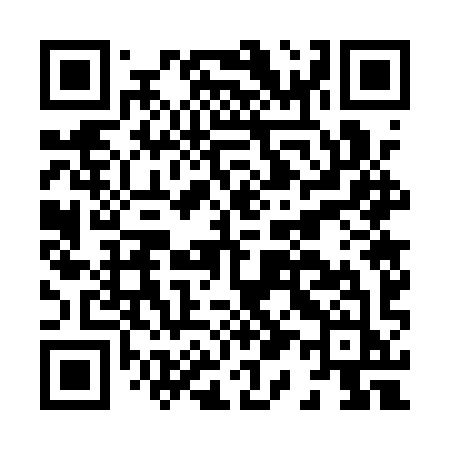 QR code for H171YJ