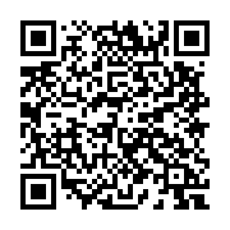 QR code for H1955C