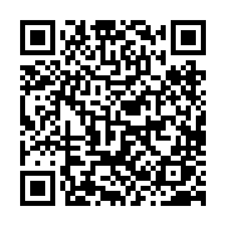 QR code for H202NP