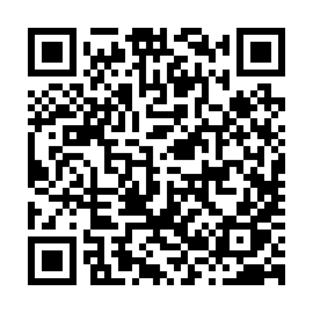 QR code for H2228P