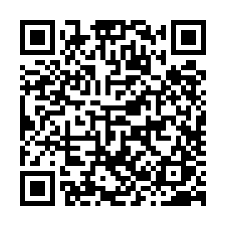 QR code for H225JS
