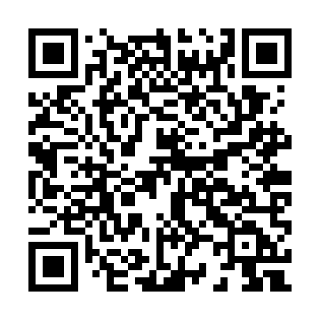 QR code for H22WMD