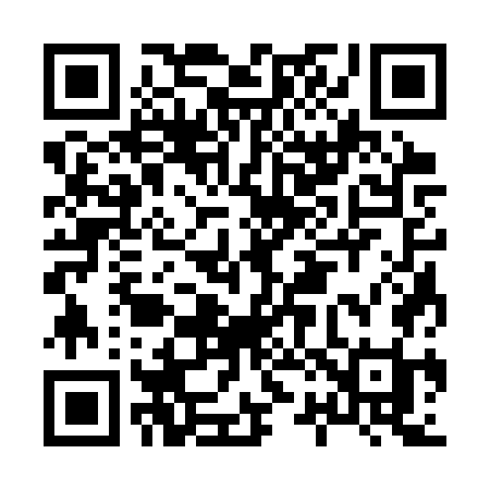 QR code for H233WI