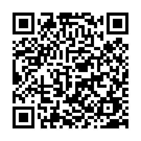 QR code for H2343D