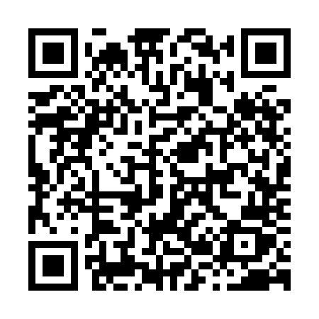 QR code for H238NZ