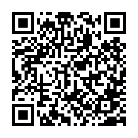 QR code for H264DV