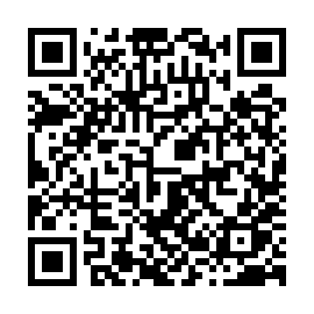 QR code for H265XP