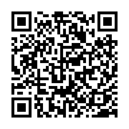 QR code for H272QQ