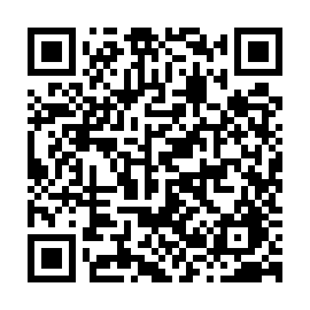 QR code for H295ZG