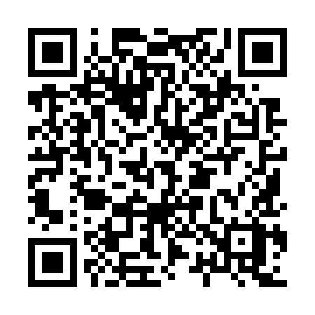 QR code for H2979X