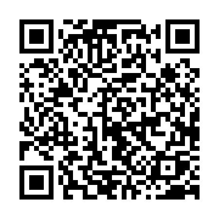 QR code for H3017Q
