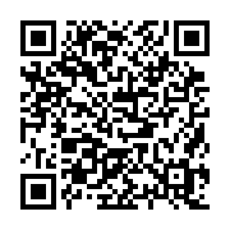 QR code for H313GM