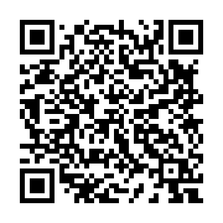 QR code for H3381R