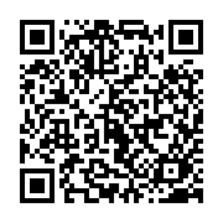 QR code for H338QO