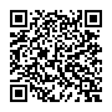 QR code for H33DFT