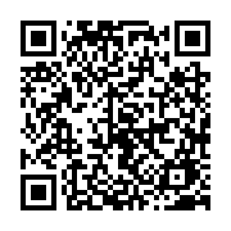 QR code for H383WG