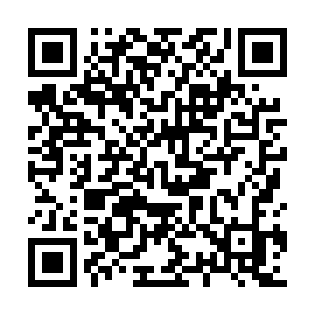 QR code for H385SK