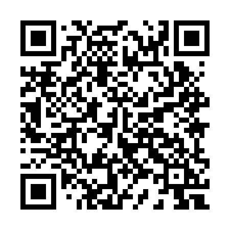 QR code for H392XI