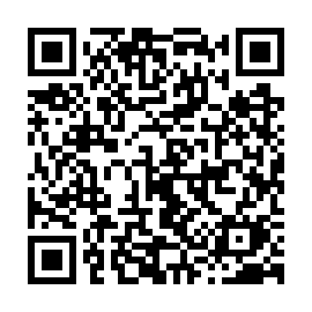 QR code for H397SM