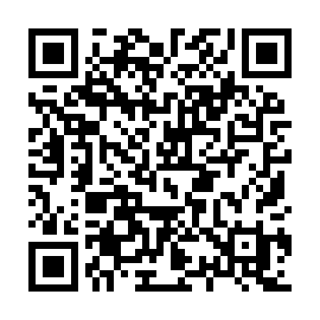 QR code for H399PI