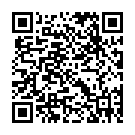 QR code for H411MO