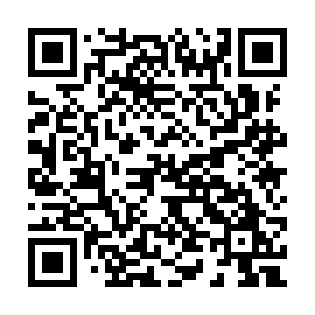 QR code for H419BO