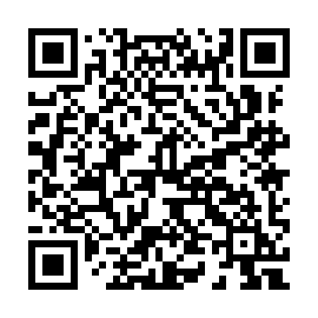 QR code for H419II