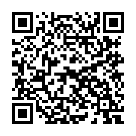 QR code for H438AM
