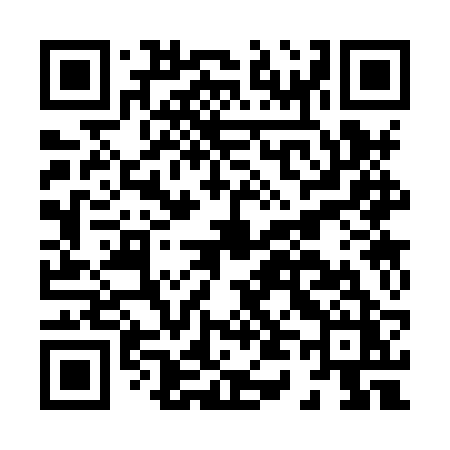 QR code for H438RZ