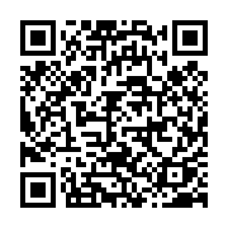 QR code for H4541Q