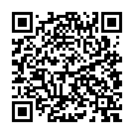 QR code for H463JQ