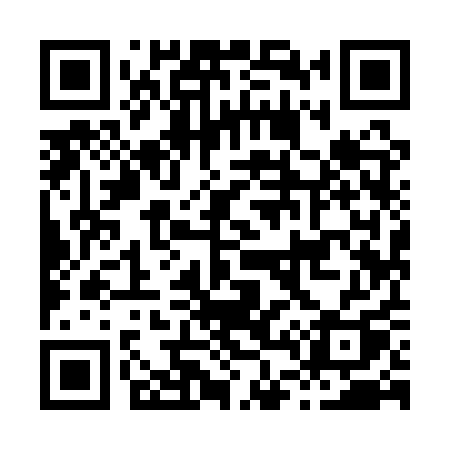 QR code for H491QQ