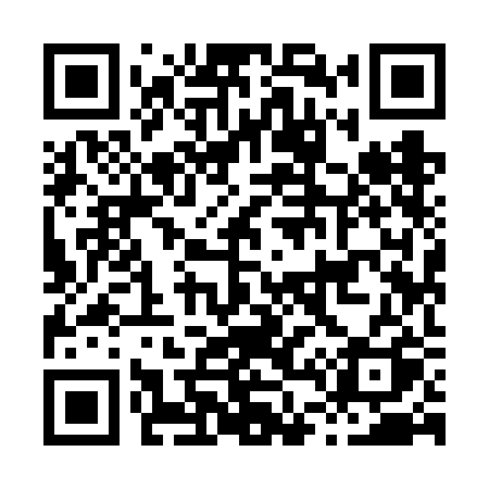 QR code for H496BQ