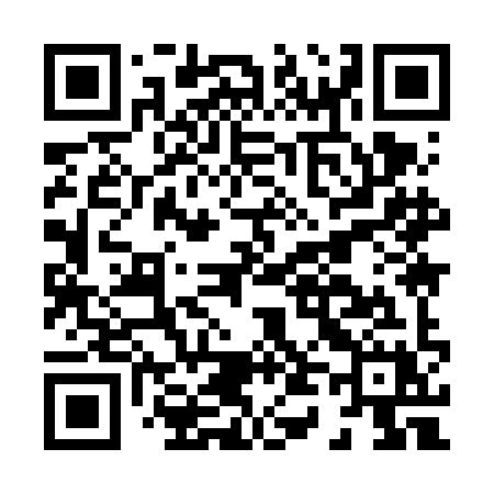QR code for H496IX