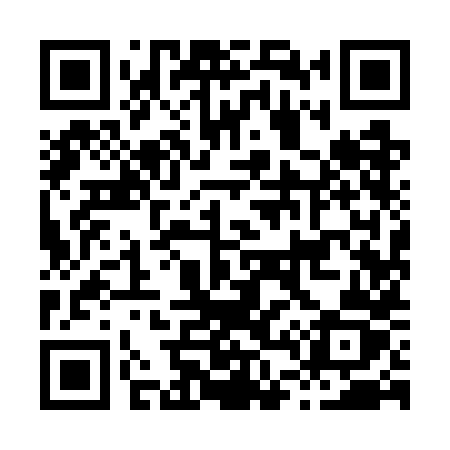QR code for H497HZ