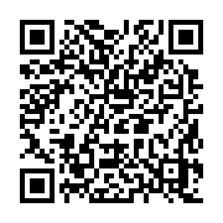 QR code for H5138Z