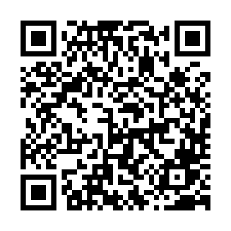 QR code for H5294V
