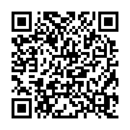 QR code for H5336F